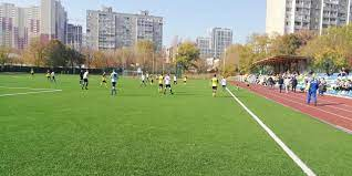 Поділ Арена