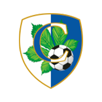 Столичний 11'