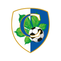 Громадська організація “Дитячо-юнацький футбольний клуб «Столичний»