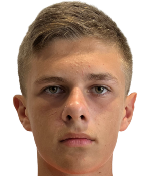 Мірошник Владислав